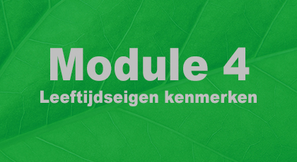 Module 4 - nog niet beschikbaar