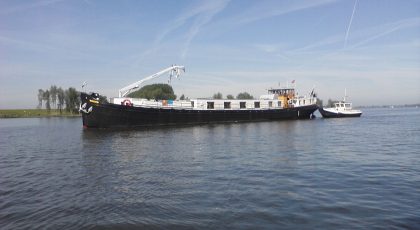 De steur