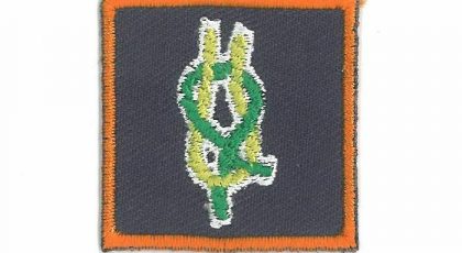 Teamleider
